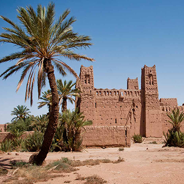 The Skoura palm grove The Skoura palm grove