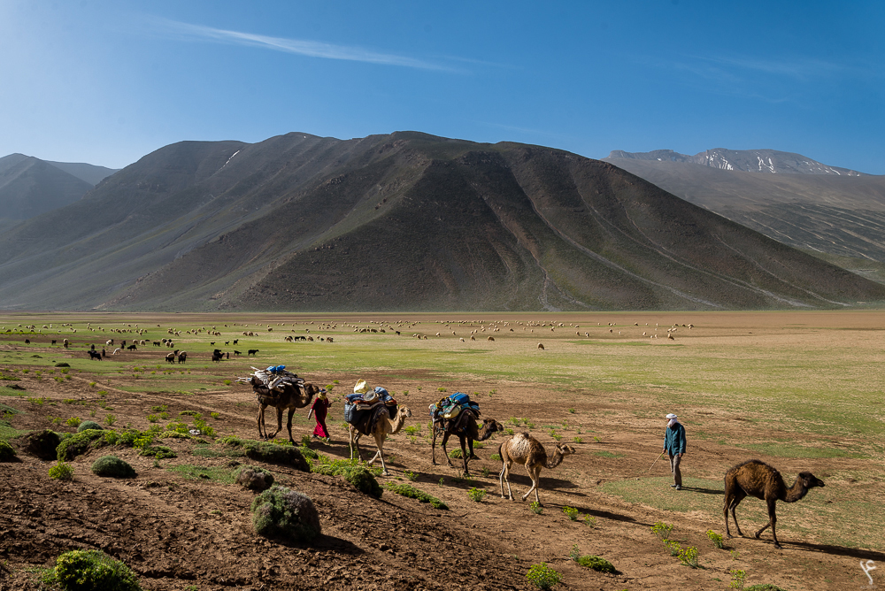 Desert and Mountain Transhumance Trek in Morocco