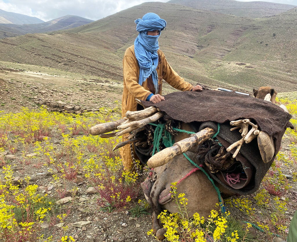 Nomadic shepherd in Morocco