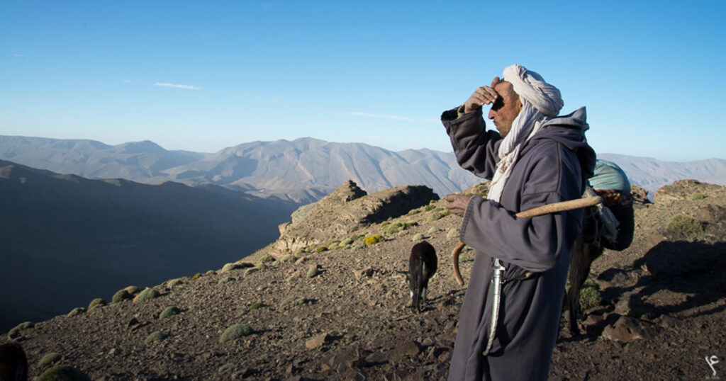 A Moroccan shepherd