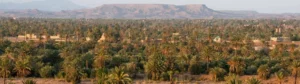 Skoura Palm Grove