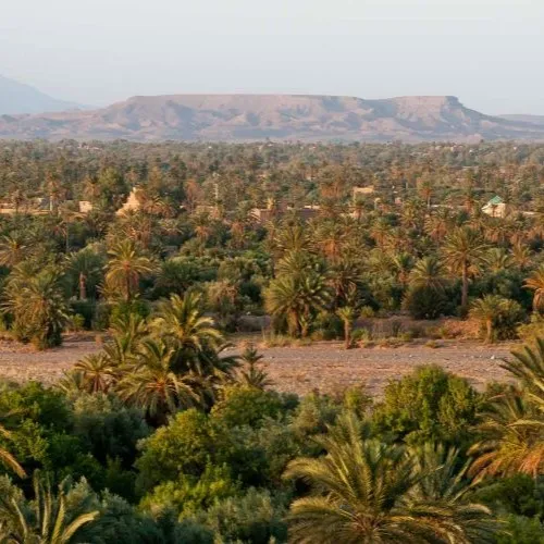 Skoura palm grove: an oasis of gardens, kasbahs and memories