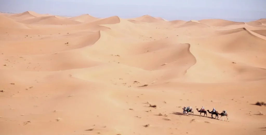 Caravan in the Desert – By A. Azizi