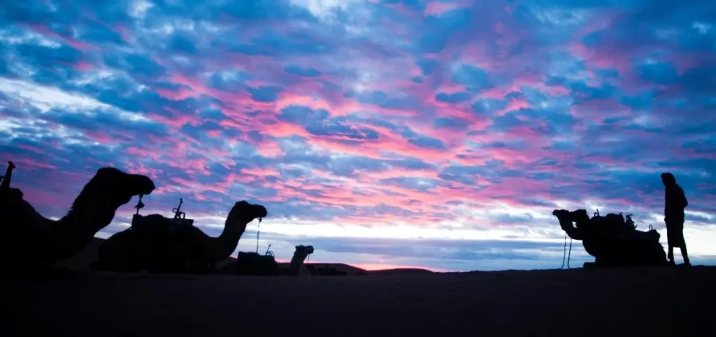 The Desert at Night – by A. Azizi