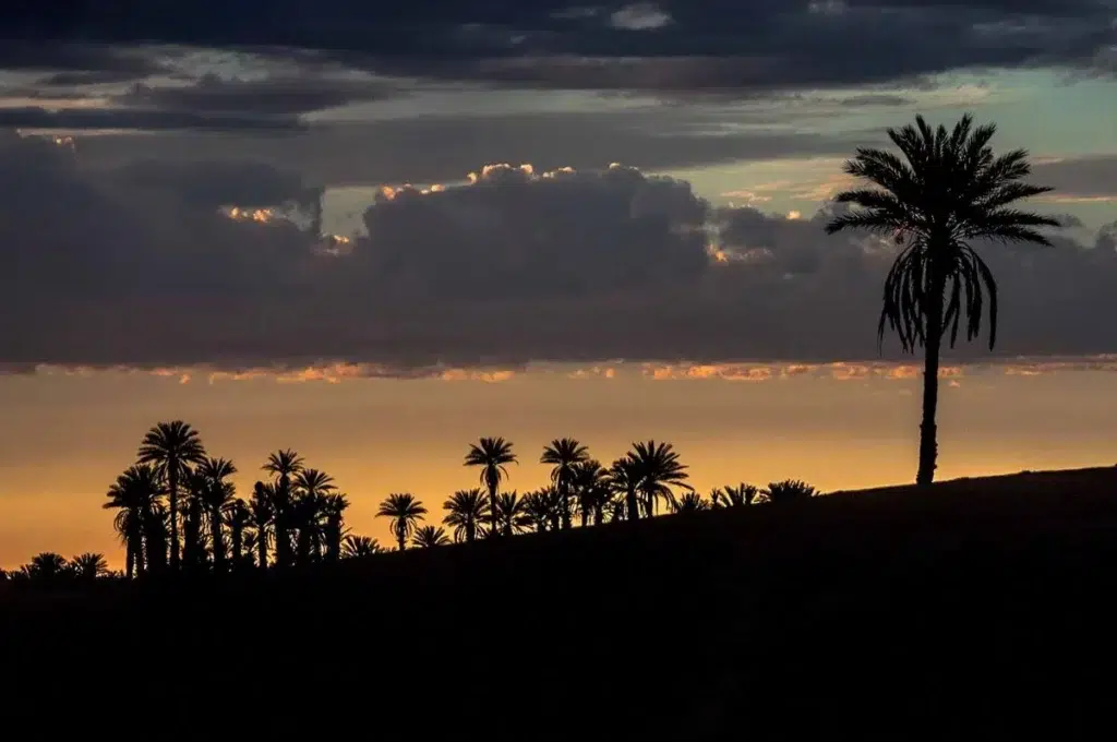 A Night in the Desert at M’Hamid – By A. Azizi